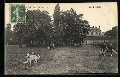 AK Villepinte, Sanatorium, la Prairie