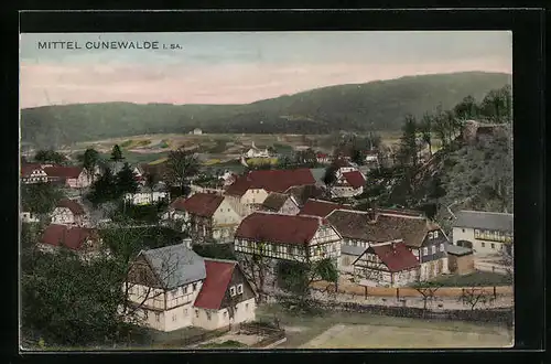 AK Mittel-Cunewalde i. Sa., Totale aus der Vogelschau