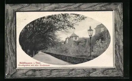 AK Mühlhausen i. Thür., Hirschgraben mit alter Stadtmauer