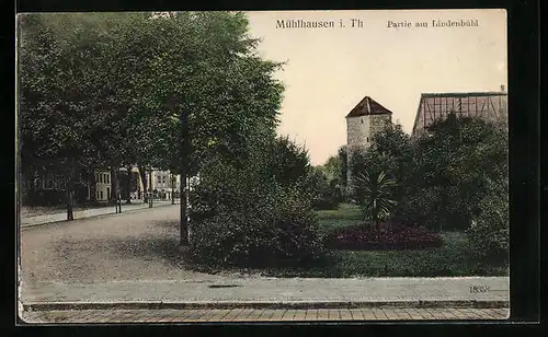AK Mühlhausen i. Th., Partie am Lindenbühl