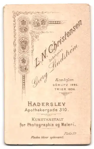 Fotografie L. N. Christensen, Haderslev, Apothekergade 310, Junge Frau in elegantem Kleid