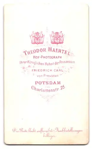 Fotografie Theodor Haertel, Potsdam, Charlottenstr. 25, in Schwarz gekleidete Frau mit Brosche und Hochsteckfrisur