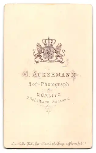 Fotografie M. Ackermann, Görlitz, Schützen-Strasse 2, junge Frau im adretten Kleid und Buch in der Hand