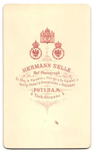 Fotografie H. Selle, Potsdam, York-Strasse 4, Frau mit Hochsteckfrisur und weissem Kragen