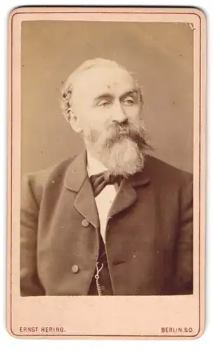 Fotografie Ernst Hering, Berlin, Dresdenerstr. 135, gestandener Mann mit langem Bart und Anzug