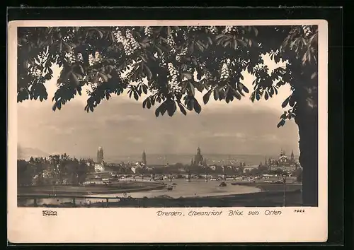 Foto-AK Walter Hahn, Dresden, Nr. 7922: Dresden, Elbansicht von Osten aus