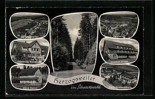AK Herzogsweiler, Gasthaus Waldhorn, Kurviertel, Gasthof Hirsch