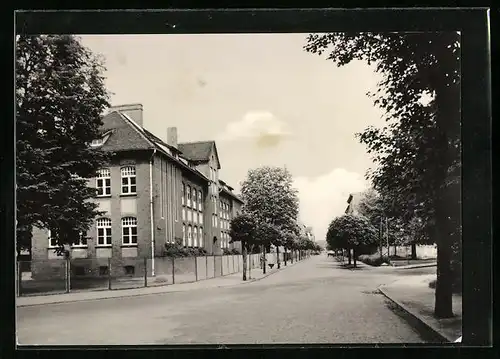 AK Falkenberg /Elster, Friedrichstrasse mit Gebäudeansichten