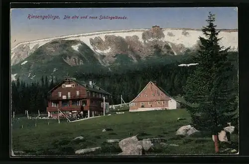 AK Schlingelbaude, Die alte und neue Schlingelbaude