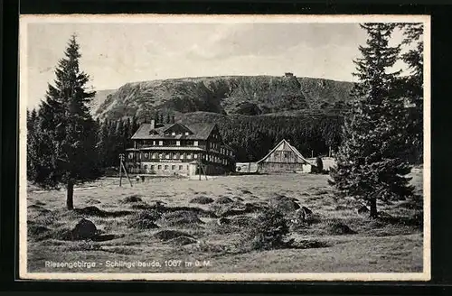 AK Schlingelbaude hinter Bergwiese