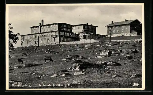 AK Peterbaude von unterhalb gesehen