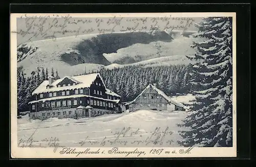 AK Schlingelbaude, Berghütte im Schnee, Riesengebirge