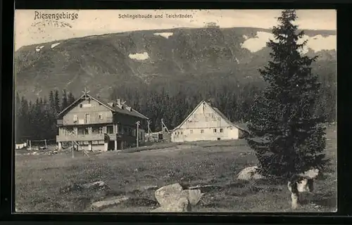AK Schlingelbaude, Berghütte und Teichränder, Riesengebirge