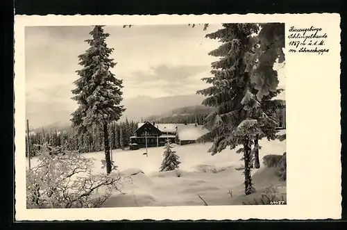 AK Schlingelbaude, Berghütte mit Schneekoppe im Schnee, Riesengebirge