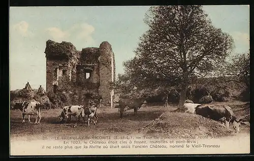 AK Le Tremblay-le-Vicomte, Tour de l`ancien Chateau