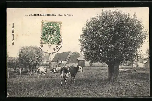 AK Villiers-le-Morhiers, Dans la Prairie