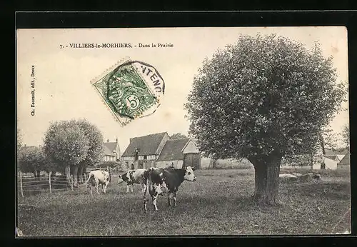 AK Villiers-le-Morhiers, Dans la Prairie