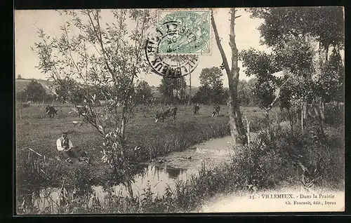 AK Villemeux, Dans la Prairie