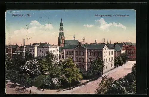 AK Zwickau, Schulgrabenweg mit Gymnasium
