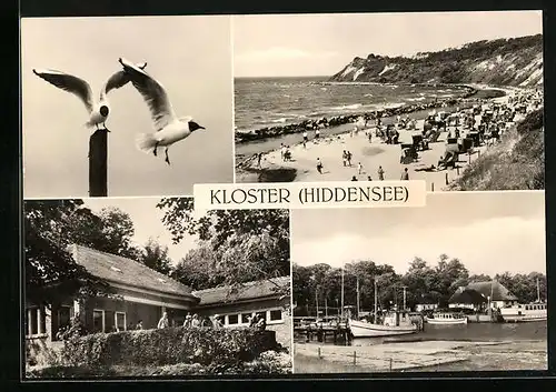 AK Kloster /Hiddensee, Boote im Hafen, Gerhart-Hauptmann-Gedenkstätte