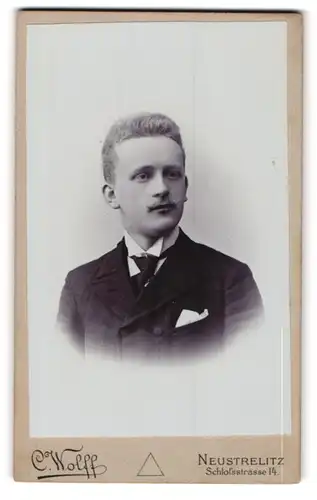 Fotografie Carl Wolff, Neustrelitz, Schlossstr. 14, Elegant gekleideter Herr mit Oberlippenbart