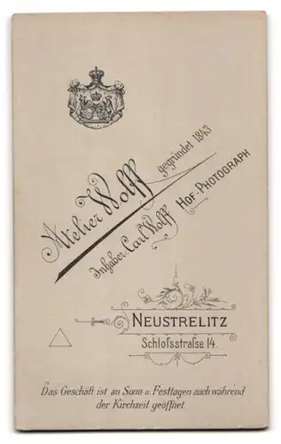 Fotografie Carl Wolff, Neustrelitz, Schlossstr. 14, Elegant gekleideter Herr mit Oberlippenbart