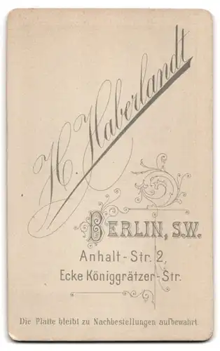 Fotografie H. Haberlandt, Berlin-SW, Anhaltstr. 2 Ecke Königgrätzerstr., Süsses Kleinkind im Kleid mit Spielzeugkatze