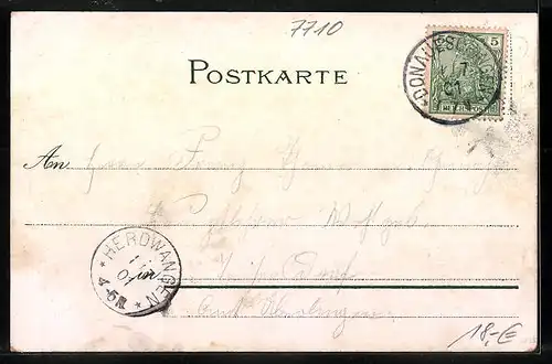 Lithographie Donaueschingen, Fürstliches Schloss, Bezirksamt, Donauquelle, Kirche