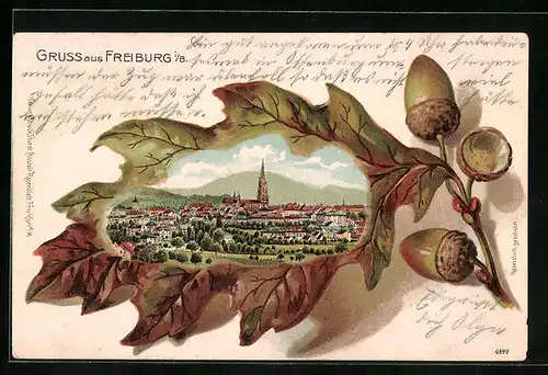 Passepartout-Lithographie Freiburg /Bodensee, Totalansicht aus der Vogelschau