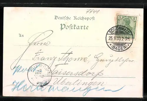 Lithographie Schönwald, Kurhotel, Gasthof z. Adler, Gasthaus z. Hirschen, Totalansicht