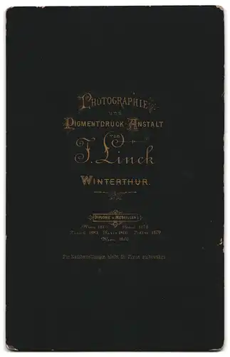 Fotografie J. Linck, Winterthur, Junge Dame im karierten Kleid mit Amulett