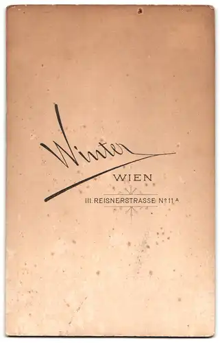 Fotografie Winter, Wien, Reisnerstr. 11 A, Älterer Herr im Anzug mit Vollbart