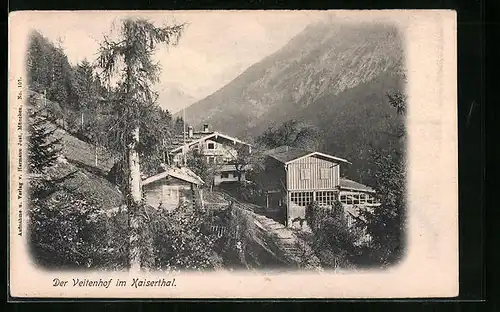 AK Ebbs, Gasthaus Veitenhof im Kaisertal