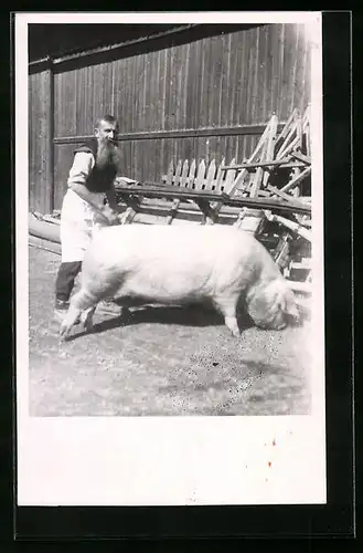 Foto-AK Metzger mit grossem Schwein