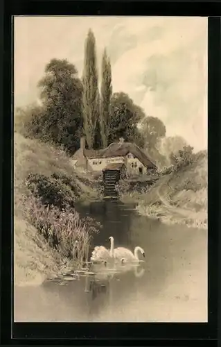 Künstler-AK Meissner & Buch (M&B) Serie 1789: Schwanenpaar bei einer Mühle