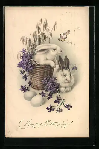 AK Osterhasen mit Korb und Blumen
