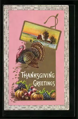 Präge-AK Turkey and Pumpkins, Thanksgiving