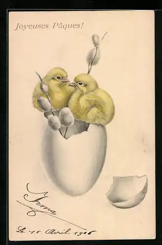 AK Osterküken im Ei mit Weidenkätzchen