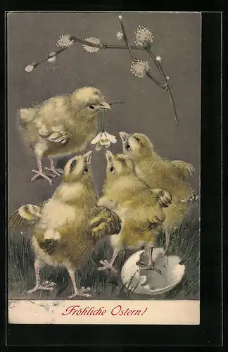AK Osterküken streiten um Blümchen