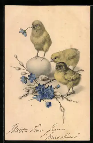 AK Osterküken mit Ei und Blumen