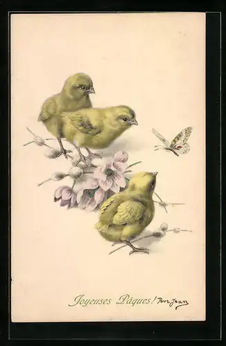 AK Osterküken betrachten Schmetterling