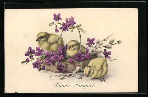 AK Osterküken mit Blumen im Korb