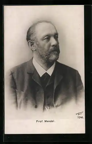 AK Portrait von Professor Mendel