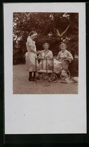 Foto-AK Damenrunde beim Tee mit Schäferhund