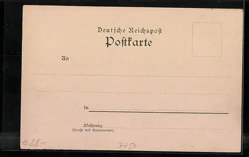 Lithographie Konstanz, Landungssteg, Bodensee mit Dampfer und Schloss Mainau