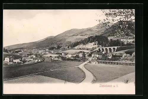 AK Steinhaus a. S., Ortsansicht aus der Ferne