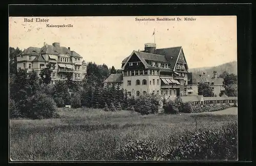 AK Bad Elster, Kaiserparkvilla und Sanatorium Sanitätsrat Dr. Köhler