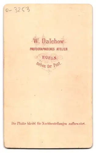 Fotografie W. Dalchow, Egeln, Junge Dame mit Flechtfrisur und Halskette