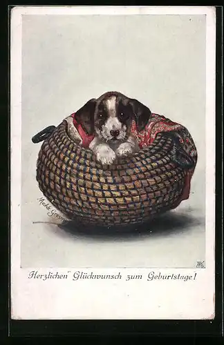 AK Hundewelpen sitzt im Korb