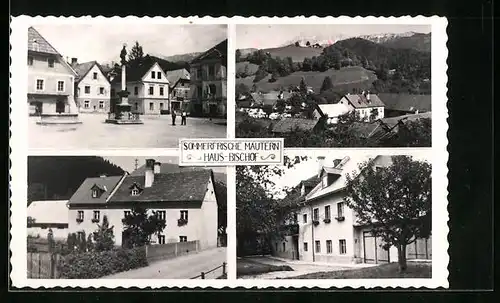 AK Mautern, Pension Haus-Bischof, Denkmal, Teilansicht